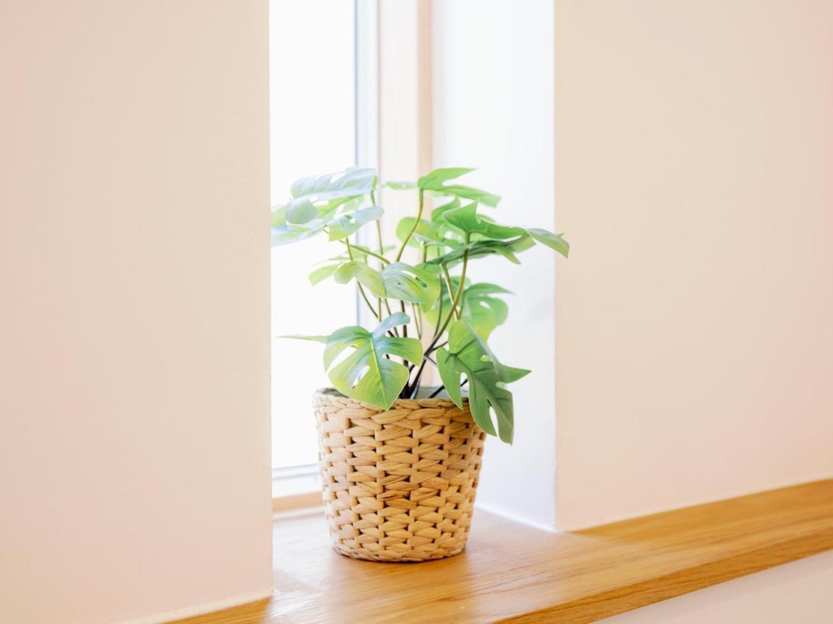 Pass The Keys - Spacious Modern Flat With Garden, In South West Case de vacanță *